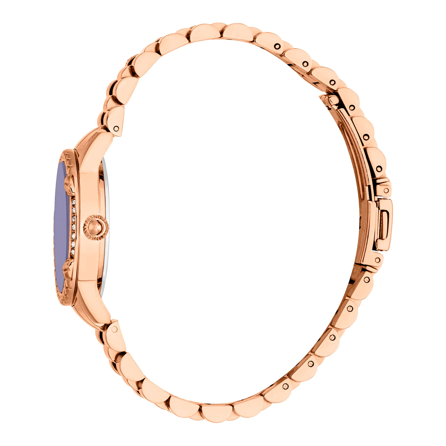 Just Cavalli JC1L310M0085